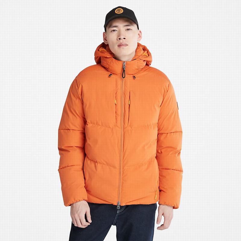Orange Timberland Field Trip Reversible Winter Jackets | 44646080