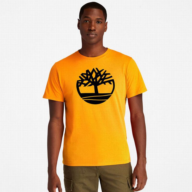 Orange Timberland Graphic-Logo T-Shirts | 16755728