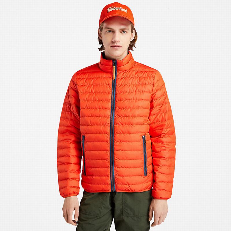 Orange Timberland Mount Lafayette Bomber Jackets | 72956681