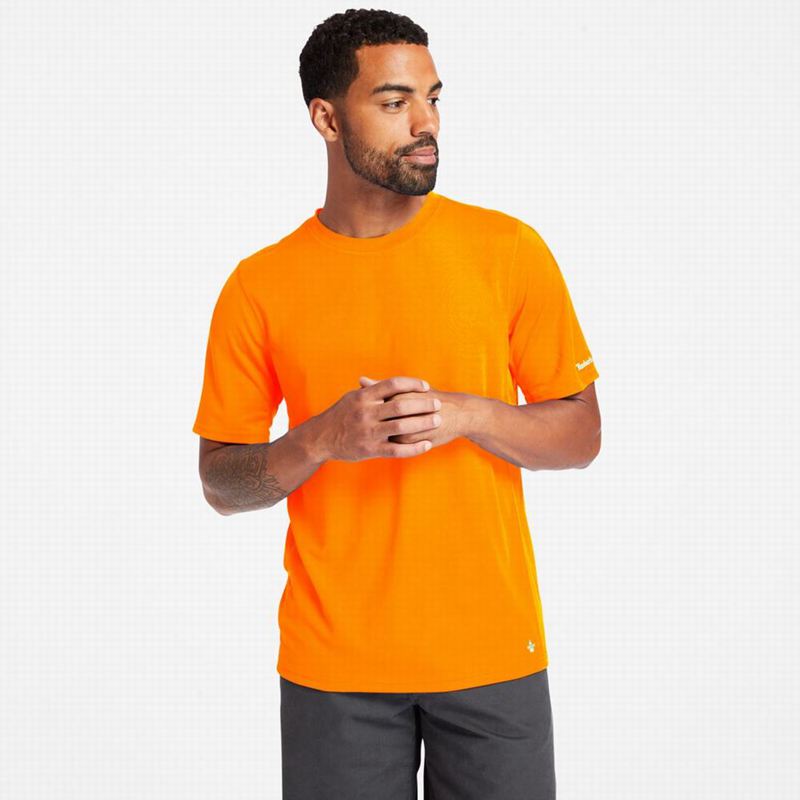 Orange Timberland PRO Textured Graphic Short-Sleeve T-Shirts | 97658827