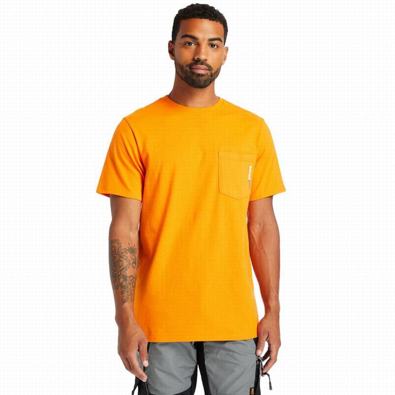Orange Timberland Photo T-Shirts | 28904741
