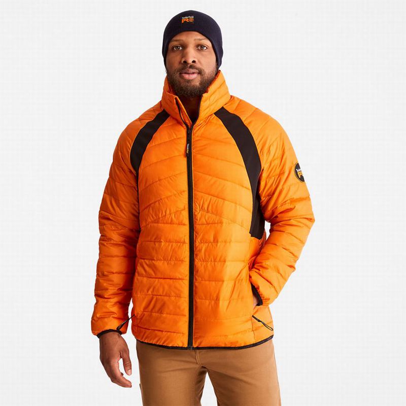 Orange Timberland Powerzip Hooded Softshell Jackets | 42302997