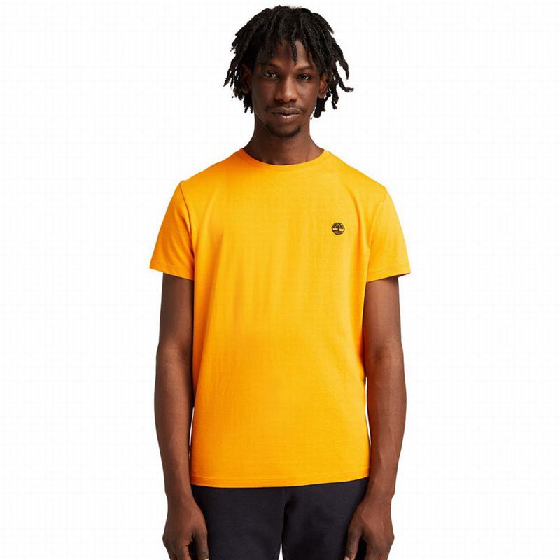 Orange Timberland RefibraGraphic T-Shirts | 12848066