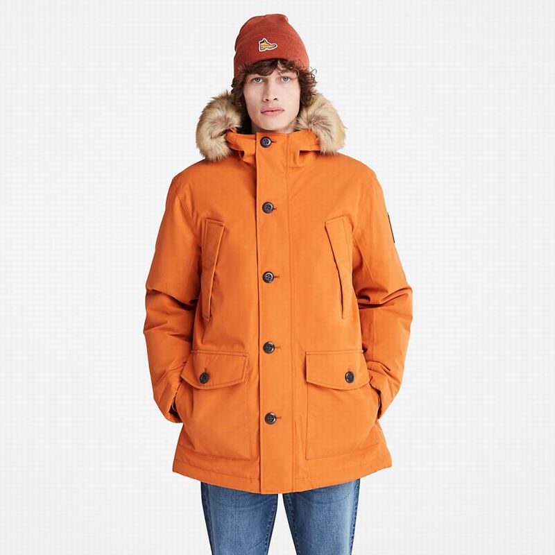 Orange Timberland Scar Ridge DryVent Parka | 62033864