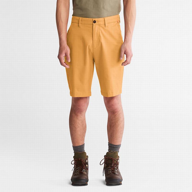 Orange Timberland Squam Lake Stretch Chino Shorts | 67293780