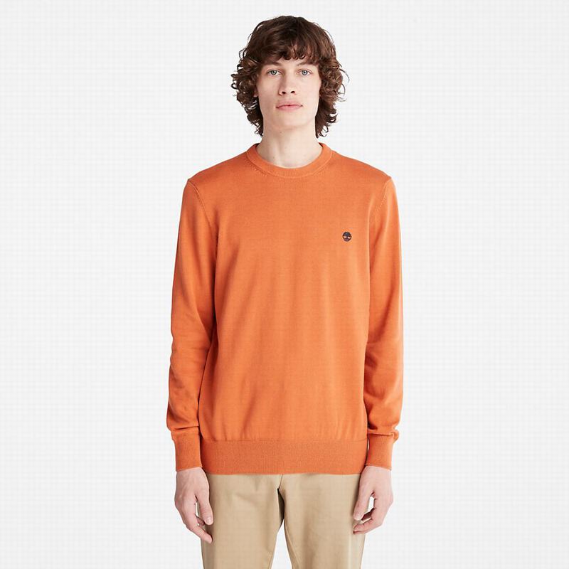 Orange Timberland Williams River Crewneck Jumpers | 71303441