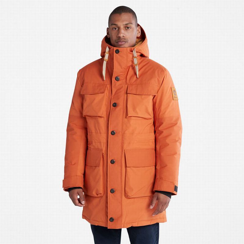 Orange Timberland Wilmington Expedition Parka | 7069658