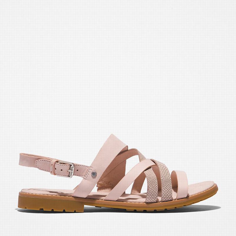 Pink Timberland Chicago Riverside Backstrap Sandals | 54428257
