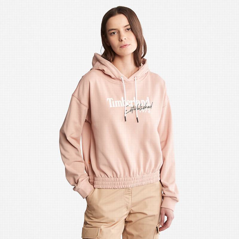 Pink Timberland Established 1973 Logo Hoodie | 2452169