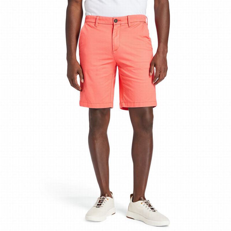 Red Timberland Squam Lake Stretch Chino Shorts | 77996851