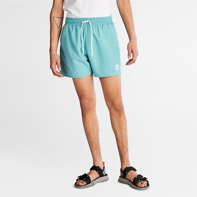 Turquoise Timberland Sunapee Lake Swim Shorts | 72233260