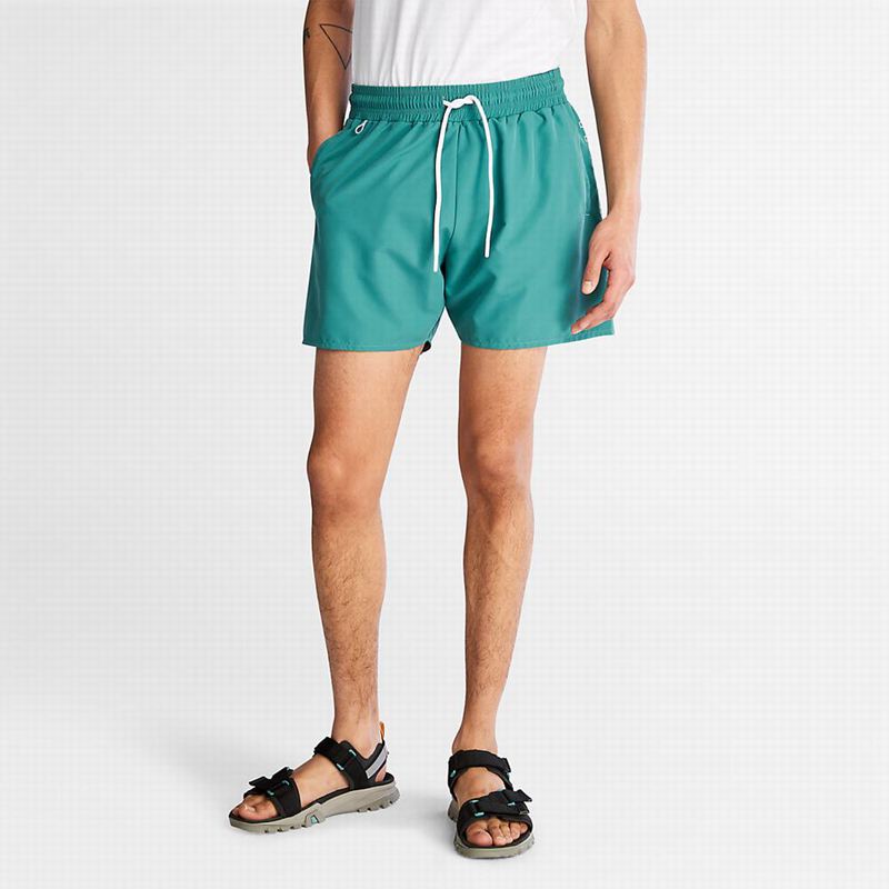 Turquoise Timberland Sunapee Lake Swim Shorts | 92739443