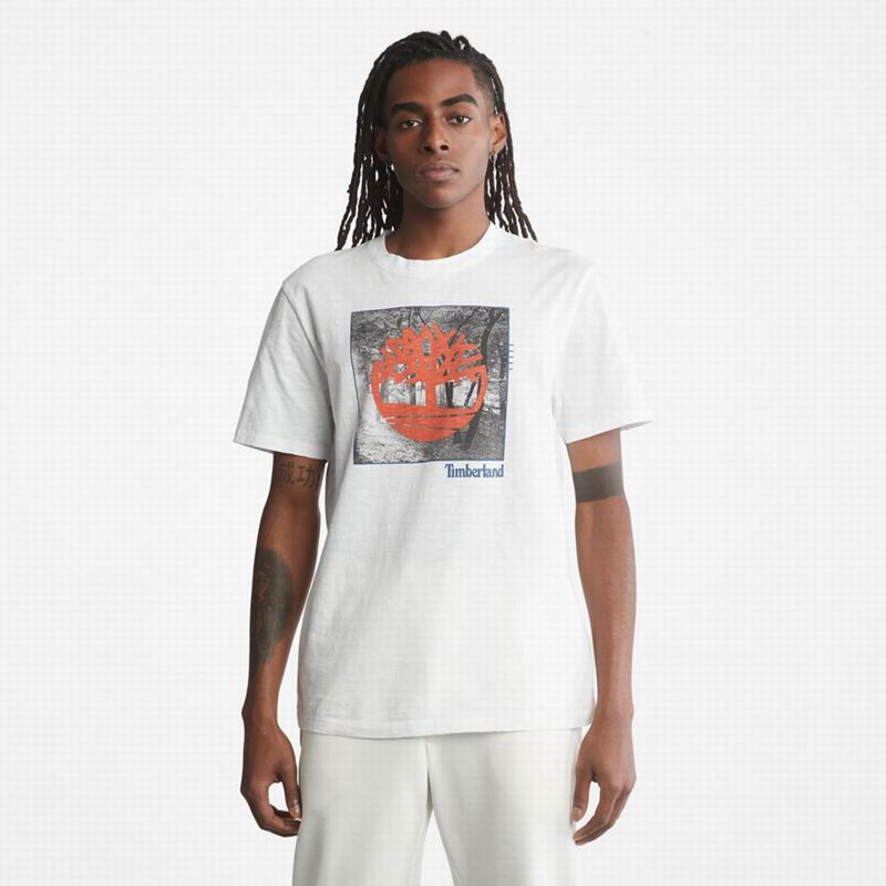 White Timberland Kennebec River Tree Logo T-Shirts | 47480993