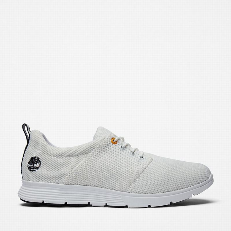White Timberland Killington Oxford Sneakers | 75202594