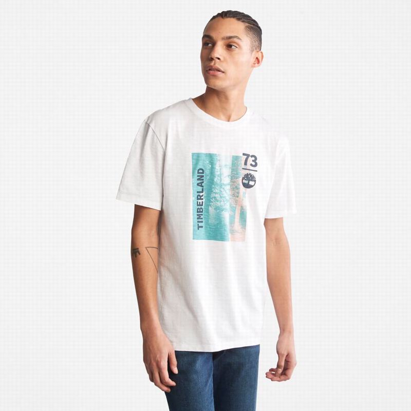White Timberland Paint Pride T-Shirts | 43483998