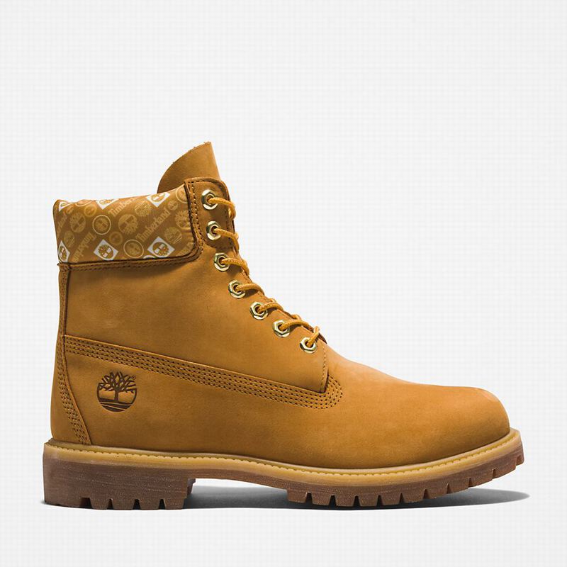 White Timberland Premium 6 Inch Boots | 65381845