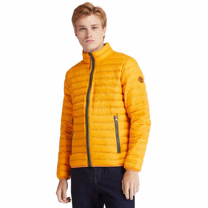 Yellow Timberland All Gender Year of the Tiger Bomber Jackets | 8241727