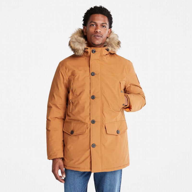 Yellow Timberland Boundary Peak Warm Parka | 95346016