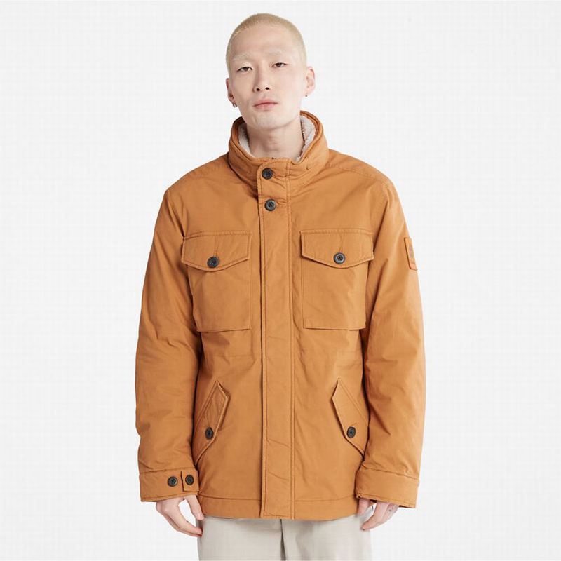 Yellow Timberland Comfort-lined Route Racer Jackets | 54643331
