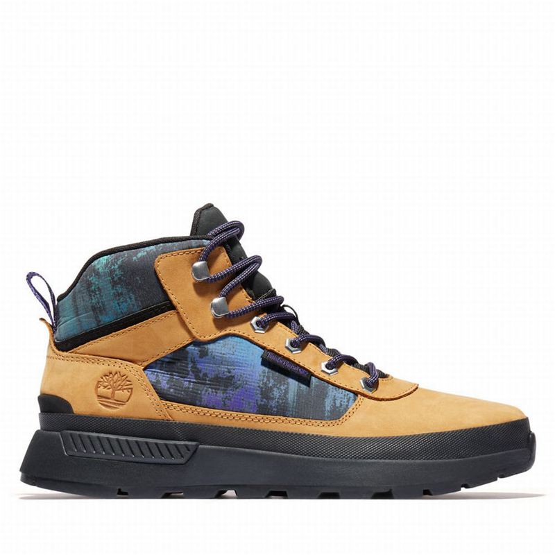 Yellow Timberland Field Nl Sky Chukka Hiking Boots | 20717925