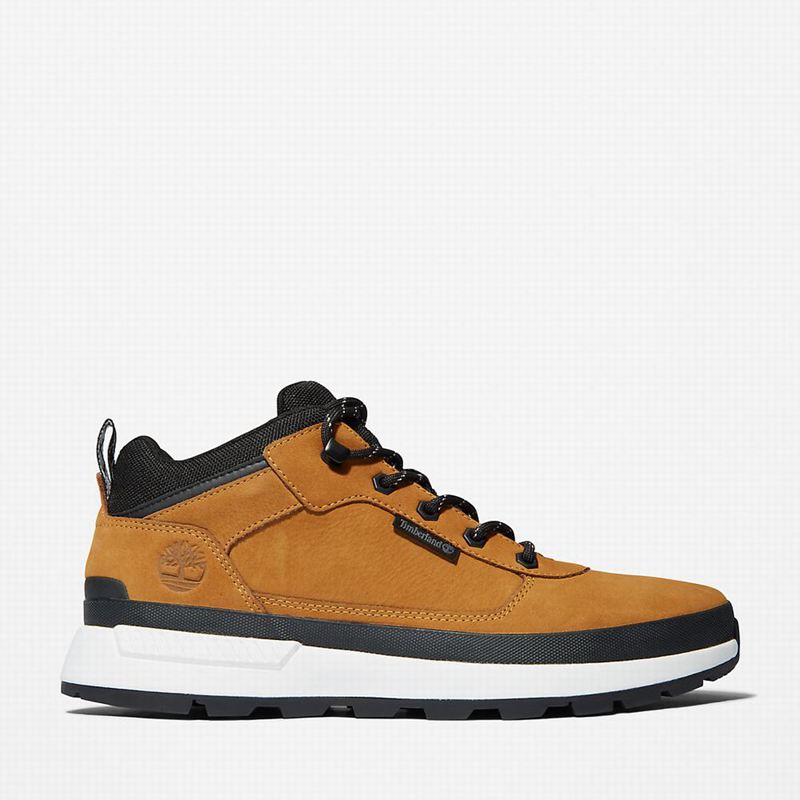 Yellow Timberland Field Trekker Low Hiker Sneakers | 60835371