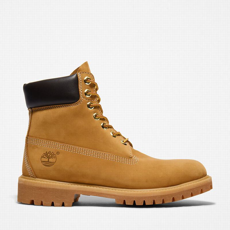 Yellow Timberland Premium 6 Inch Boots | 37196182