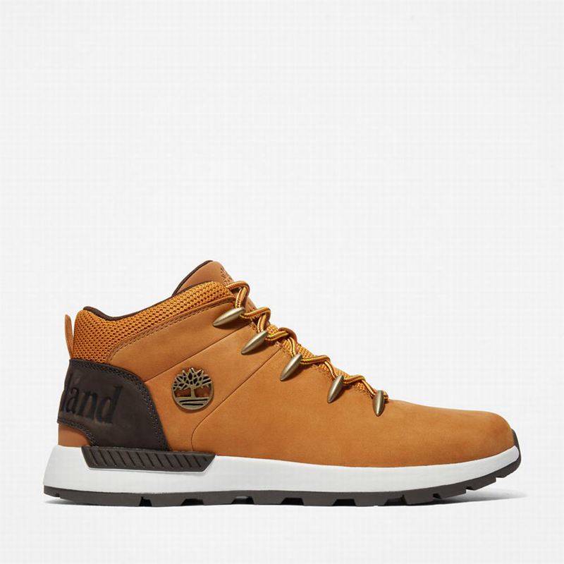 Yellow Timberland Sprint Mid Hiking Boots | 55742804