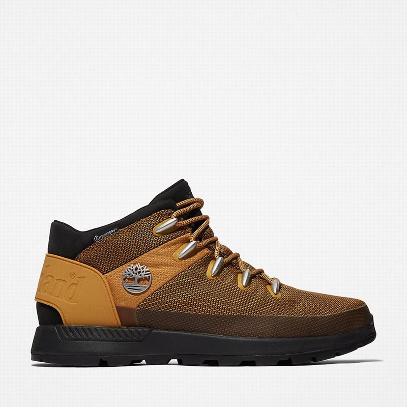 Yellow Timberland Sprint Trekker Chukka Boots | 3437814