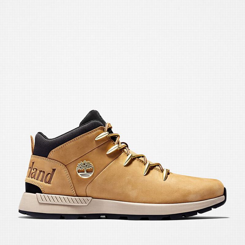 Yellow Timberland Sprint Trekker Chukka Boots | 56489929