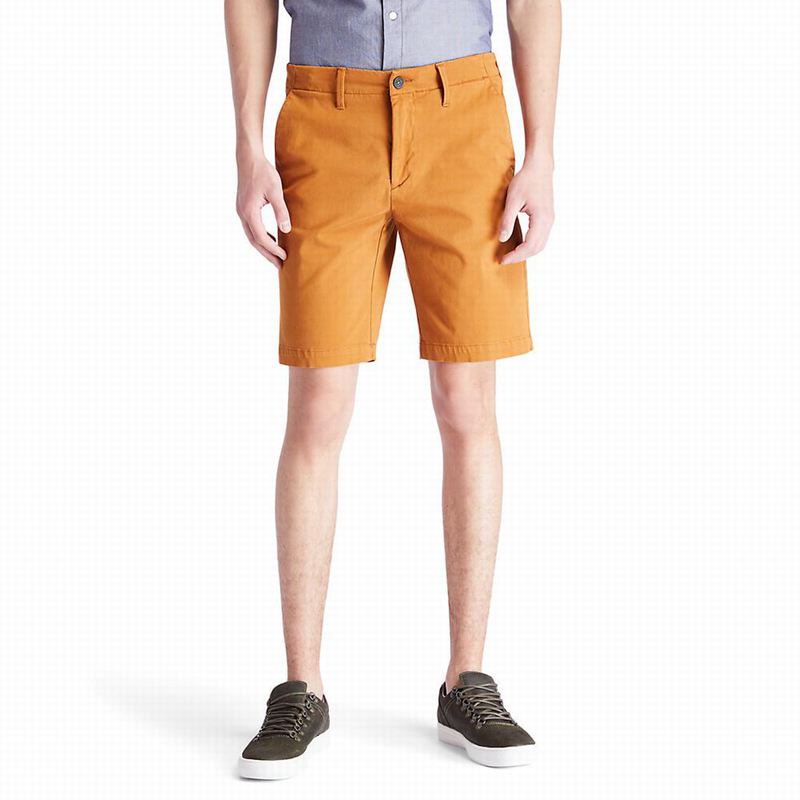 Yellow Timberland Squam Lake Chino Shorts | 88319814
