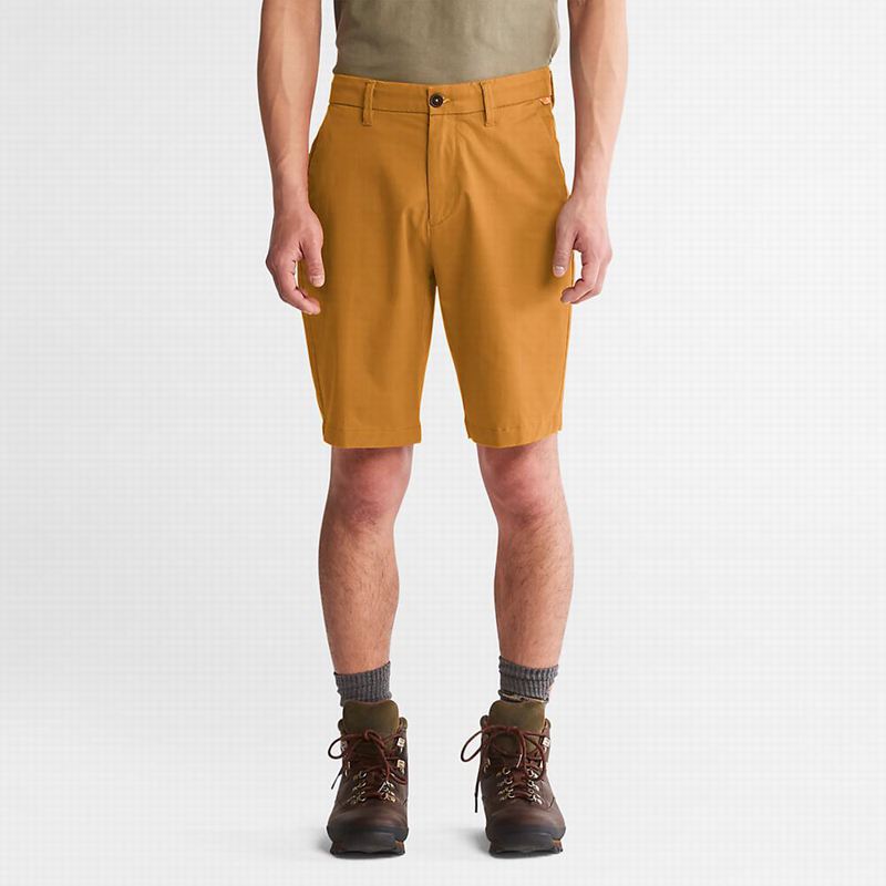 Yellow Timberland Squam Lake Stretch Chino Shorts | 53309212