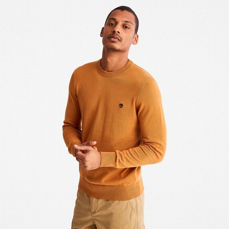 Yellow Timberland Williams River Organic Cotton Sweaters | 73112561