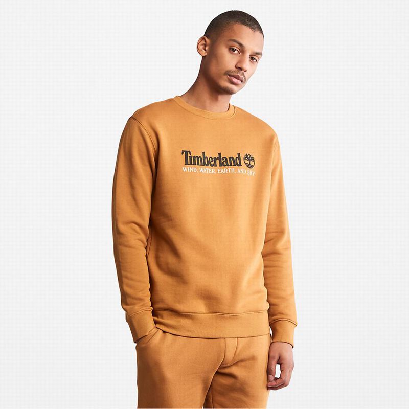 Yellow Timberland Wind Water Earth and Sky Sweatshirts | 39935130